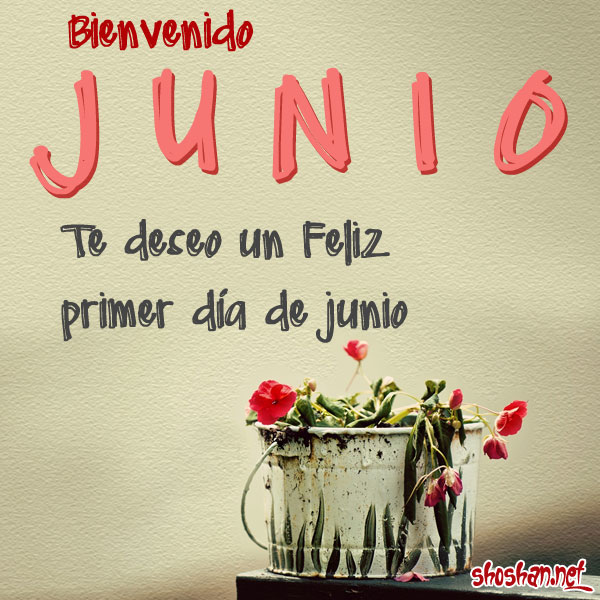 Resultado de imagen para bienvenido junio