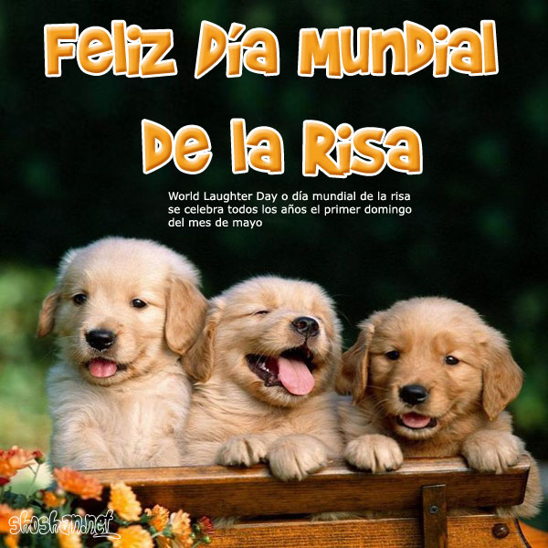 Feliz da de la risa