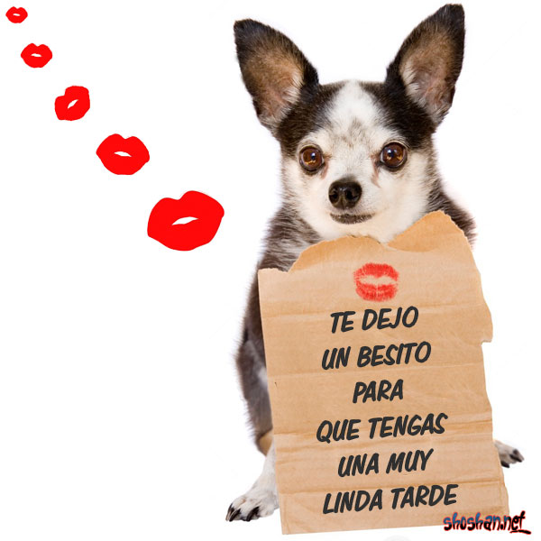 besos_para_una_linda_tarde