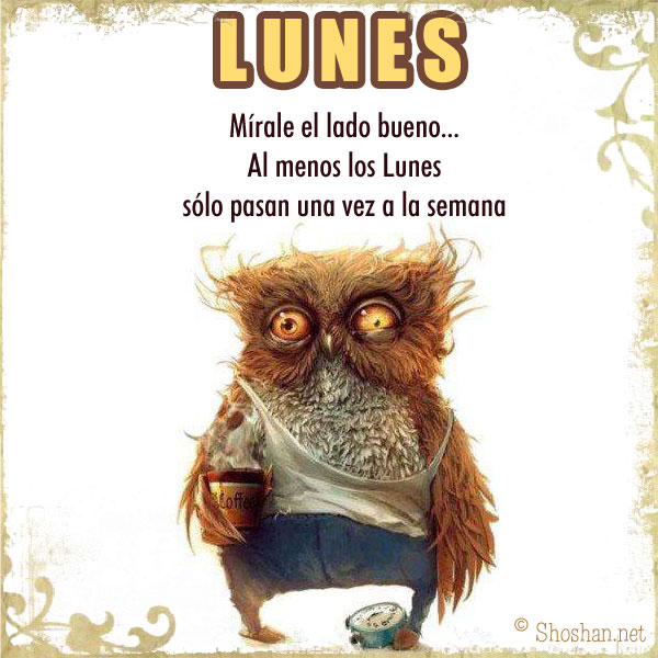 Buho día Lunes