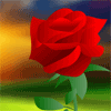 Rosa roja