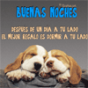 Cachorros durmiendo