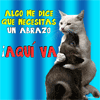 Abrazo de gato