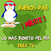 Pinguino