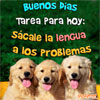 Tres perros sonrientes