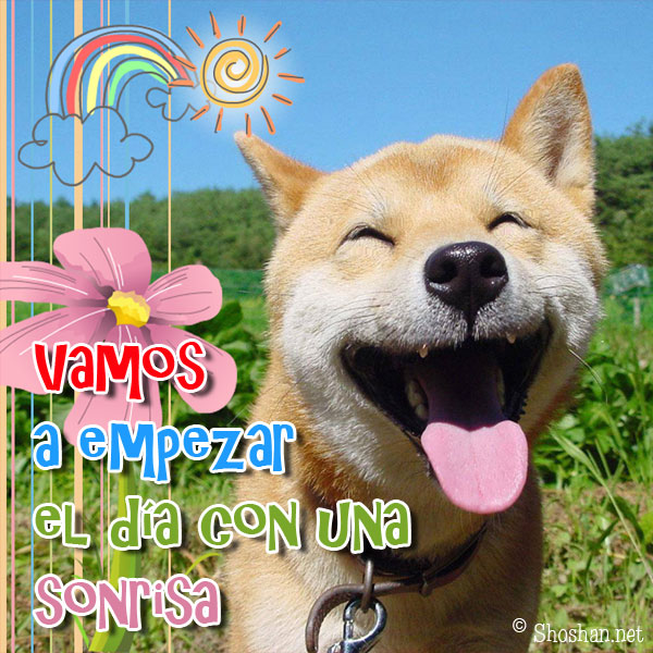 Perro sonriente