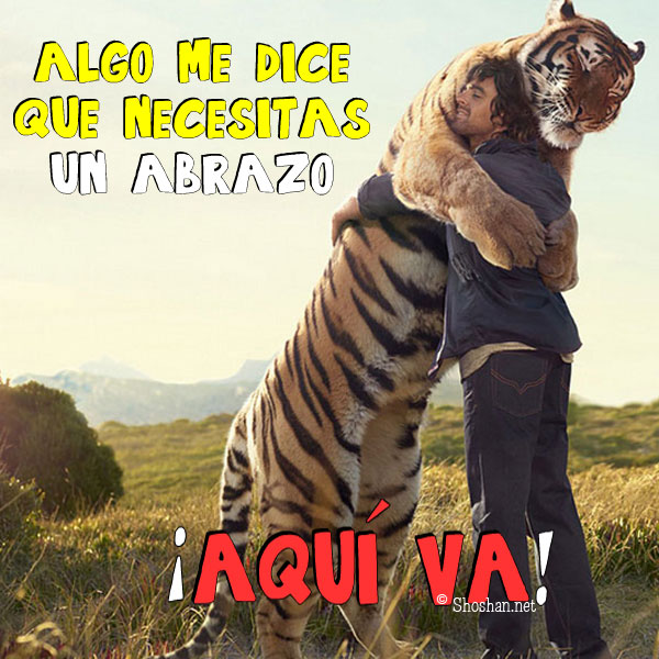 Un abrazo de tigre