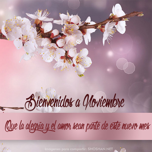 hasta pronto octubre