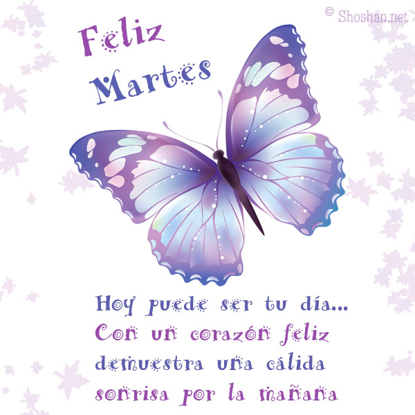 Feliz martes