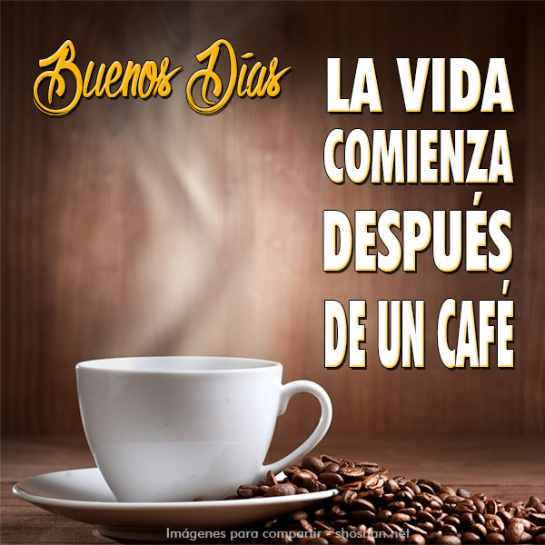 Taza de café