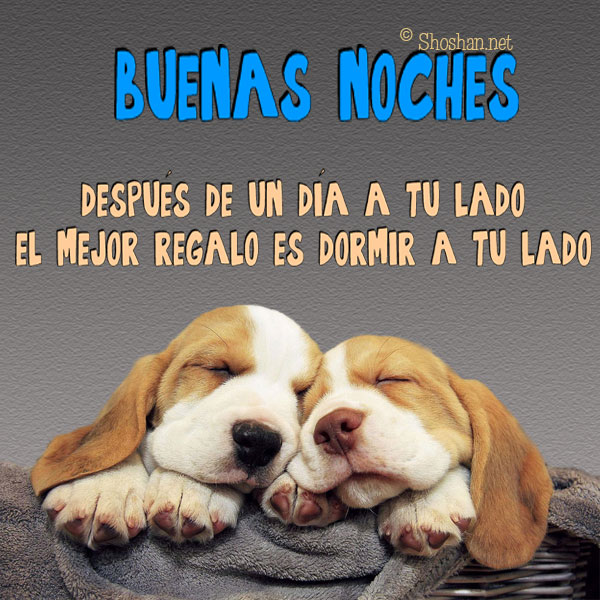 Dos cachorros durmiendo