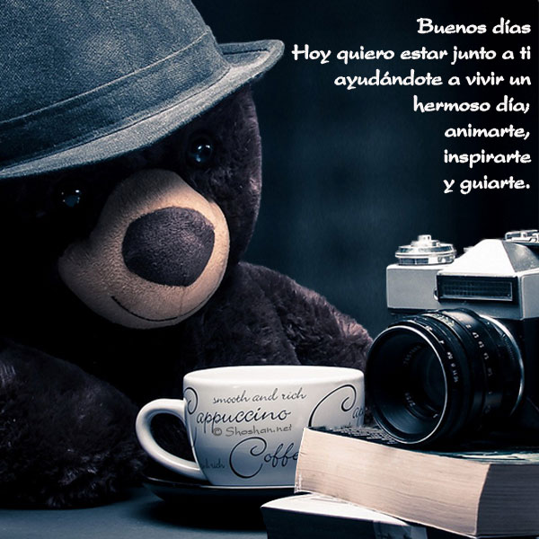 Oso de peluche fotografo