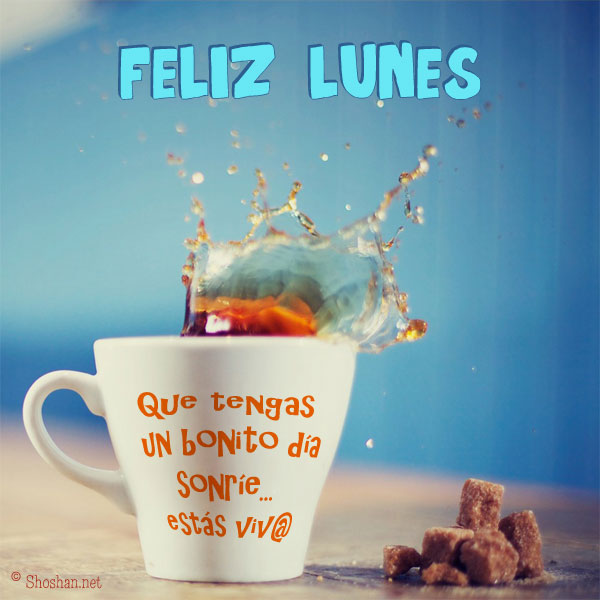 reparar Frente a ti beneficio feliz lunes taza de cafe campeón consumirse  Precioso