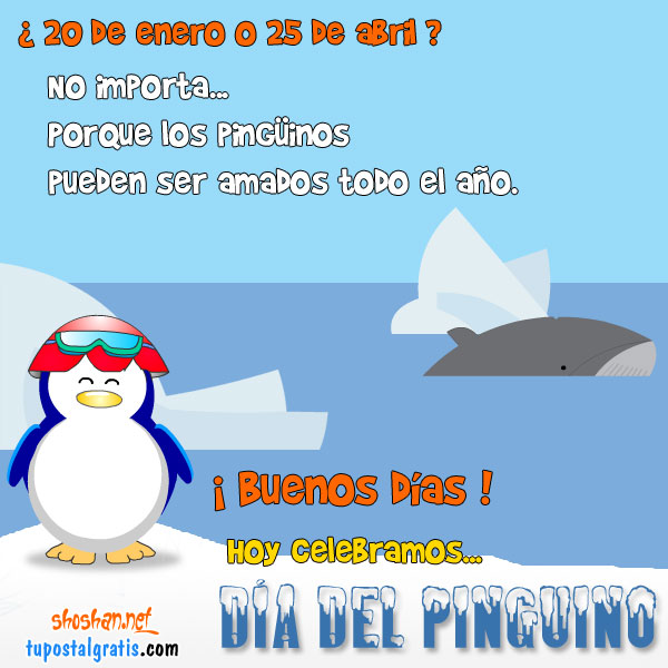 Dia del Pinguino