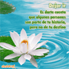 Flores en el agua