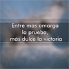 Frases universales