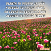 Tu propio jardín