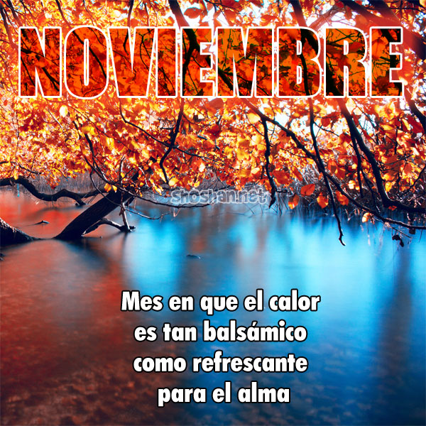 Bienvenido noviembre