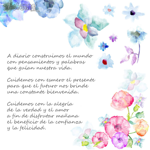 Flores de colores