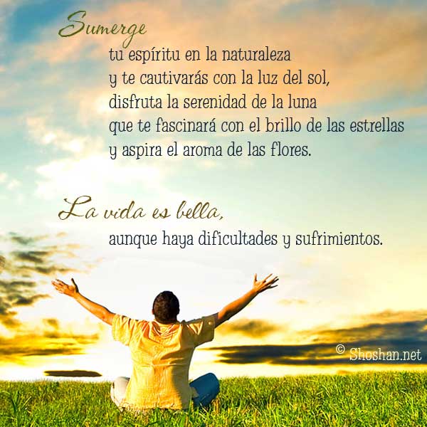 Agradeciendo