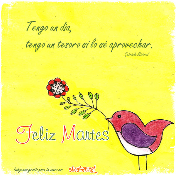 Feliz Martes