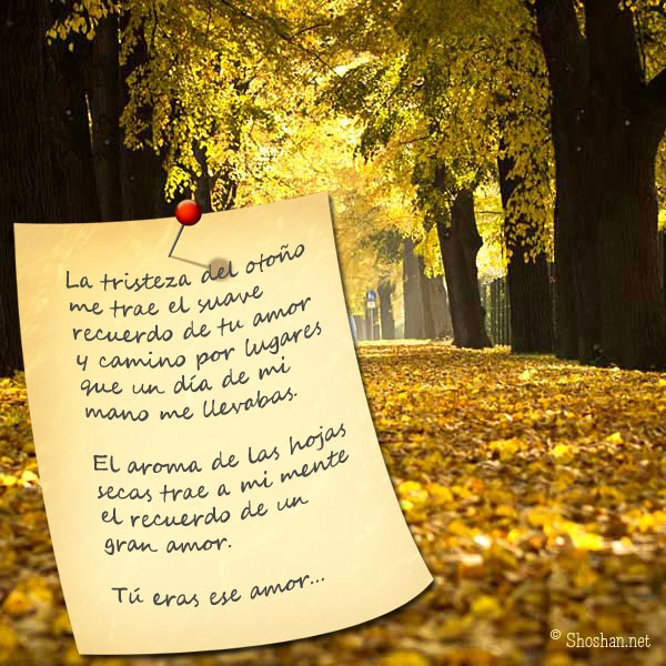 Imágenes gratis con poema de Otoño. La tristeza del otoño me trae el suave  recuerdo de tu amor