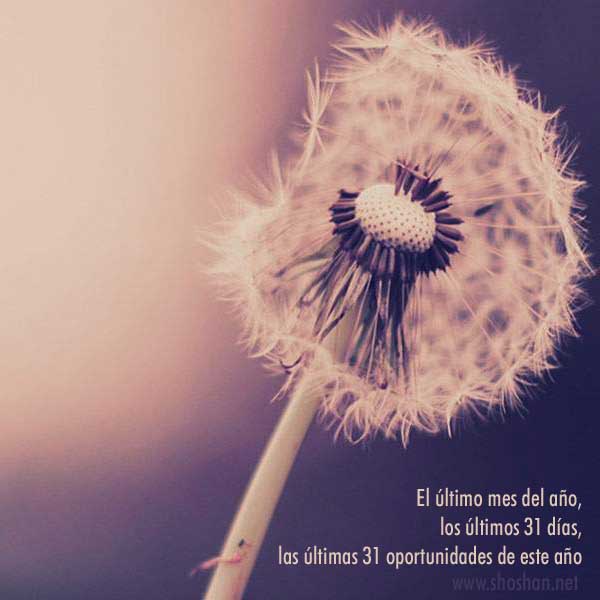 Imagenes gratis