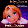 Gracias Señor