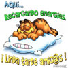 Garfield durmiendo