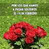 Ramo de rosas