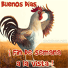 Gallo de buenos días