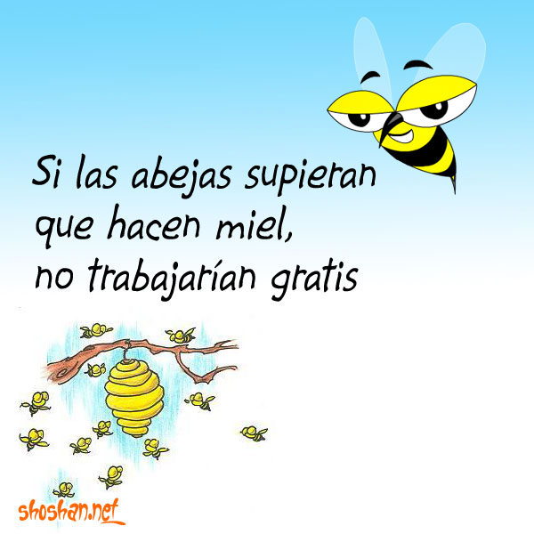 Abejas haciendo miel