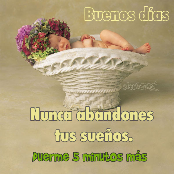 Imágenes con frases graciosas para compartir. Buenos días. Nunca abandones  tus sueños. Duerme 5 minutos más