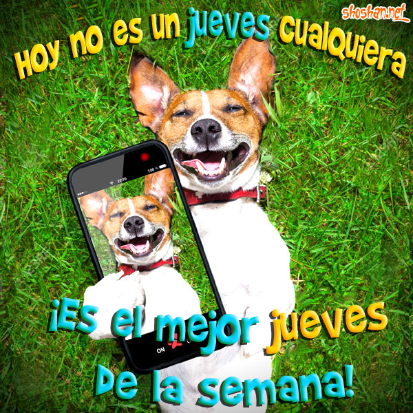 Selfie de un perro