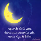 Luna y estrellas