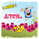 Contento