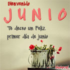 Bienvenido junio