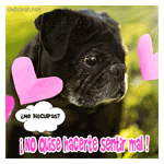 Perrito triste