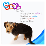 Perro fiel