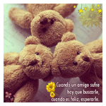 Osos de peluche
