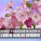 Flores rosadas