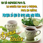 Tomando el té
