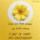Feliz fin de semana