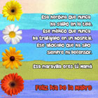 Flores de colores