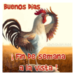 Gallo de Buenos das