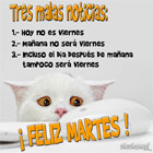 Feliz Martes