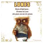 Buho del día Lunes