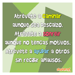 Frases universales en fondo verde