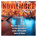 Bienvenido noviembre