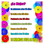 Flores de colores